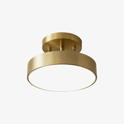 Adjustable Rotating Brass Ceiling Light, alternative view 7