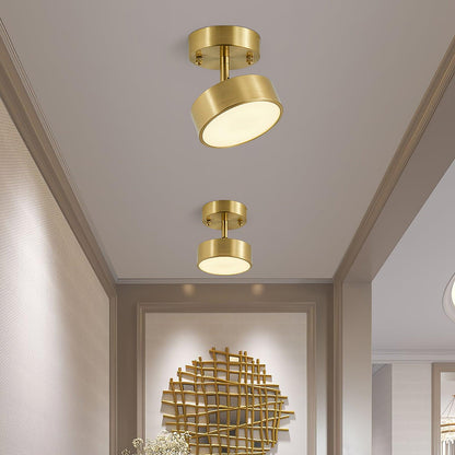 Adjustable Rotating Brass Ceiling Light, alternative view 3