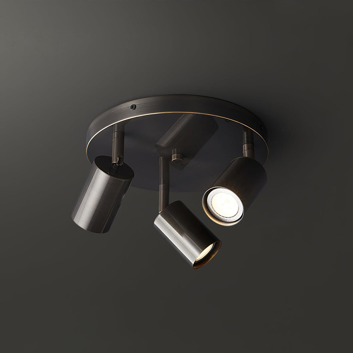 Adjustable Brass Spotlight Ceiling Light, alternative view 10