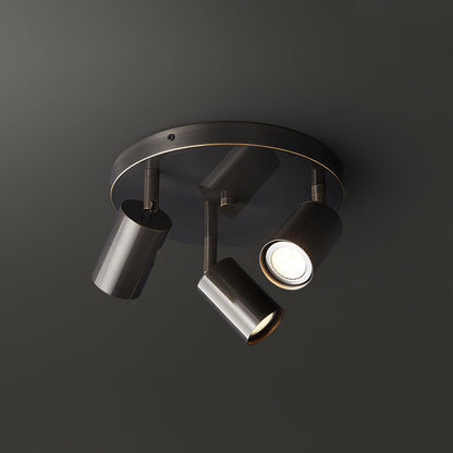 Adjustable Brass Spotlight Ceiling Light, alternative view 10