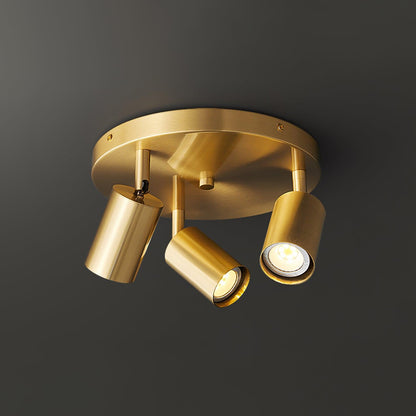 Adjustable Brass Spotlight Ceiling Light, alternative view 9