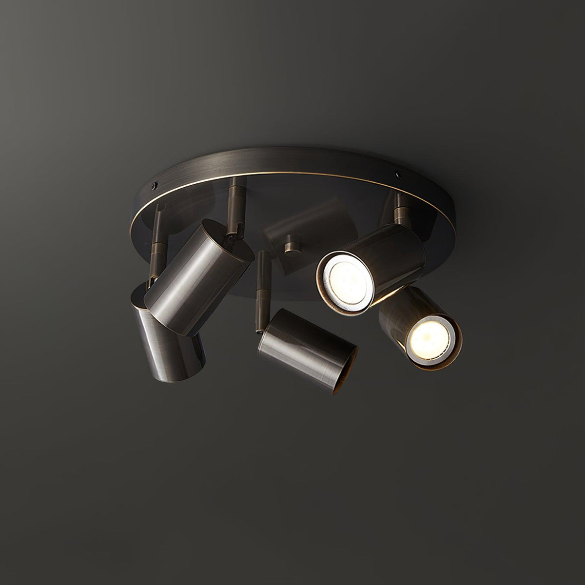 Adjustable Brass Spotlight Ceiling Light, alternative view 12