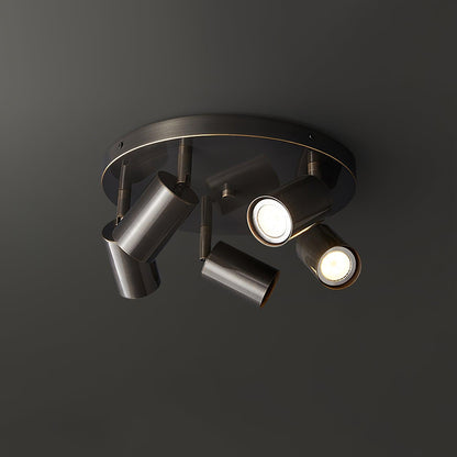 Adjustable Brass Spotlight Ceiling Light, alternative view 12