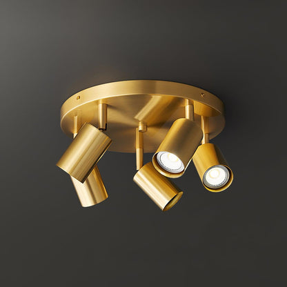 Adjustable Brass Spotlight Ceiling Light, alternative view 11