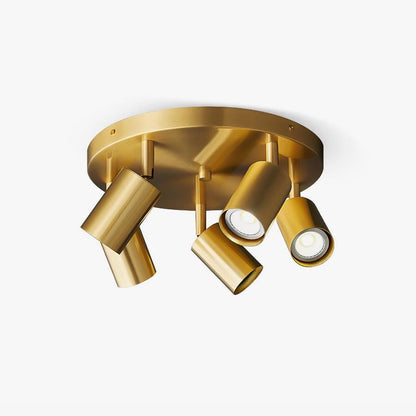 Adjustable Brass Spotlight Ceiling Light by Everden Living