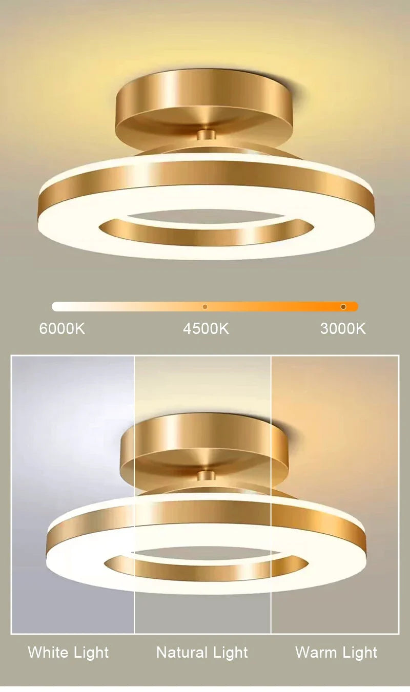 Double Ring LED Flush Ceiling Light