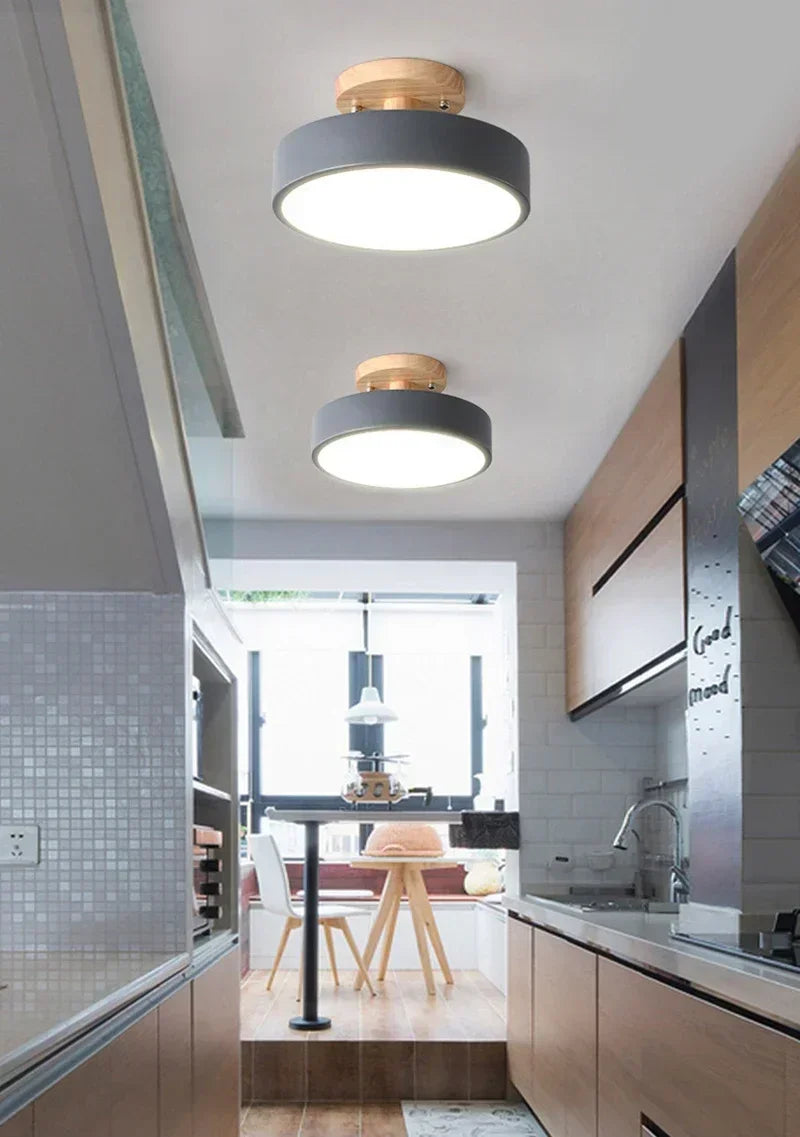 Scandinavian Wood and Coloured Metal Ceiling Light