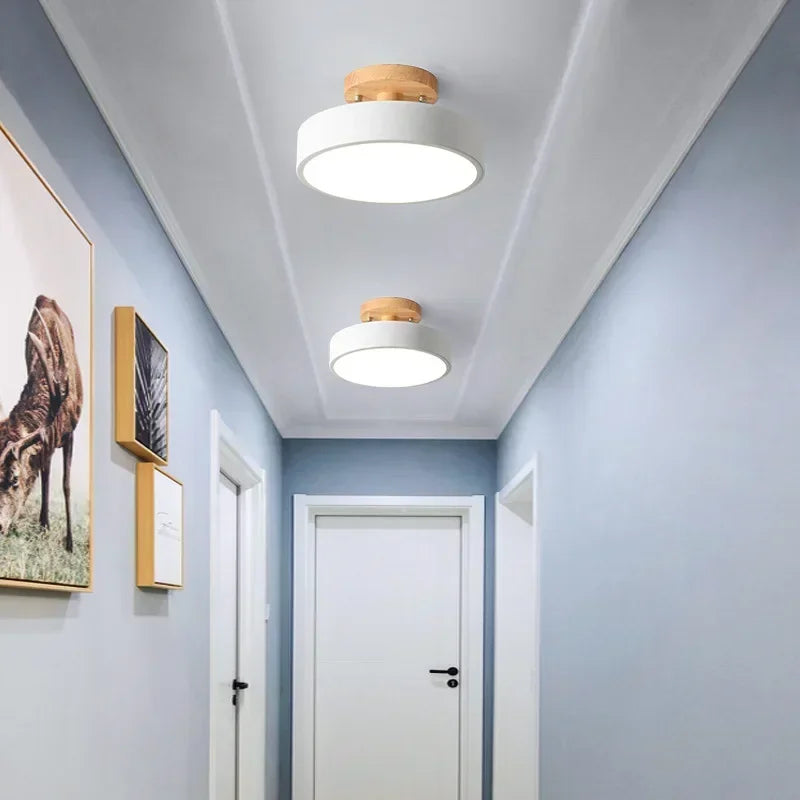 Scandinavian Wood and Coloured Metal Ceiling Light