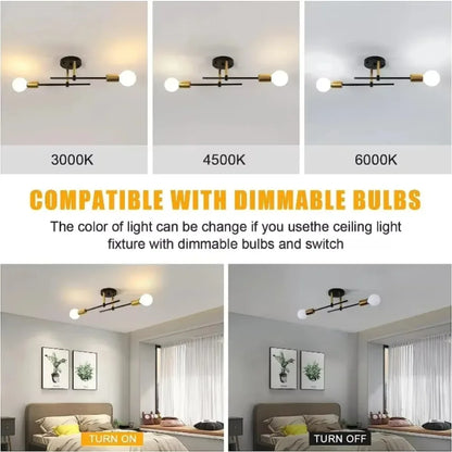 Minimalist Linear Globe Ceiling Light