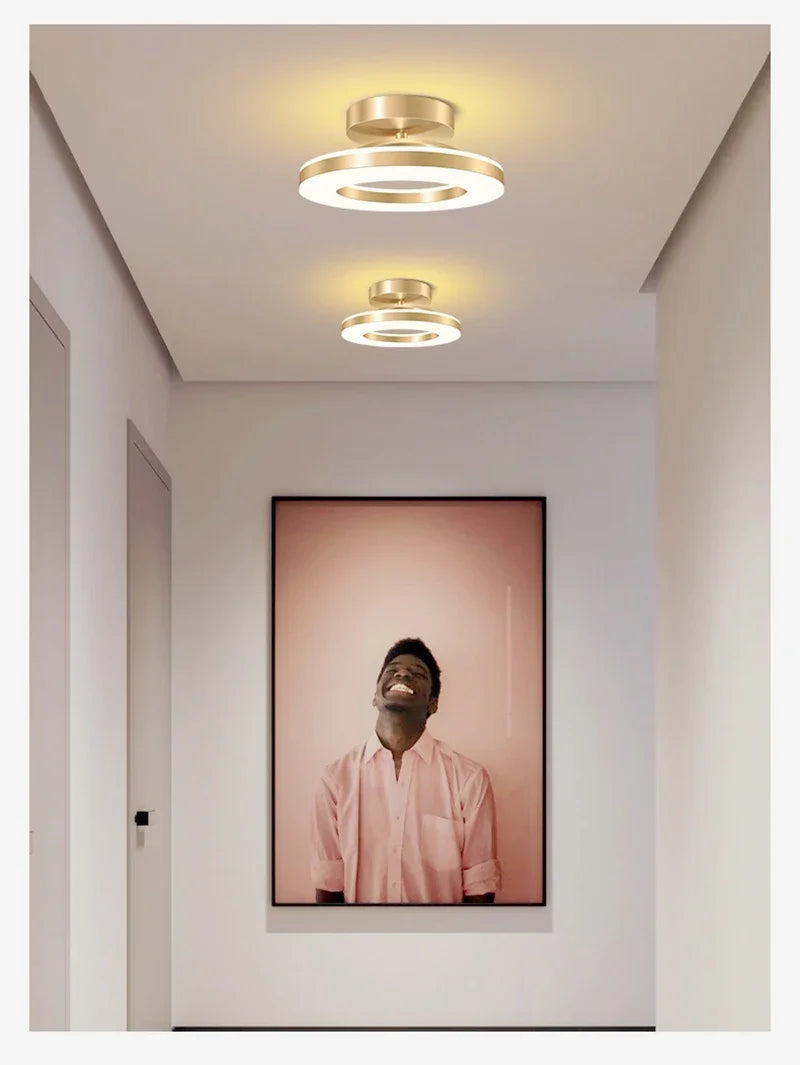 Double Ring LED Flush Ceiling Light