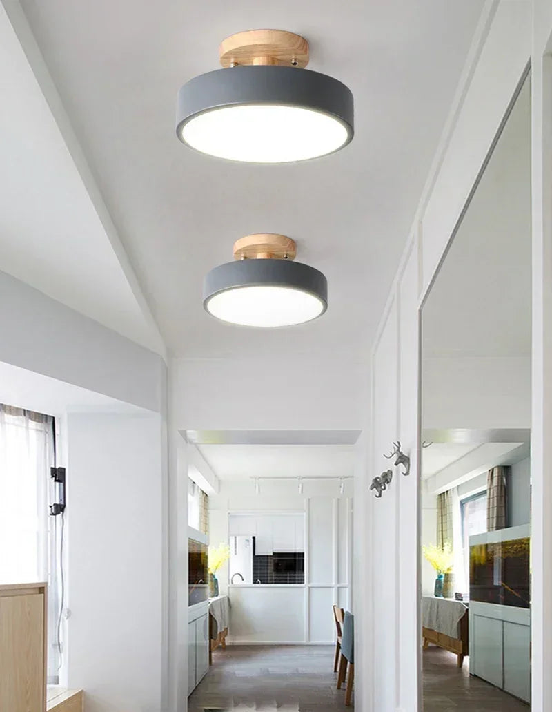 Scandinavian Wood and Coloured Metal Ceiling Light